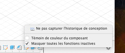 Fusion360 timeoptions